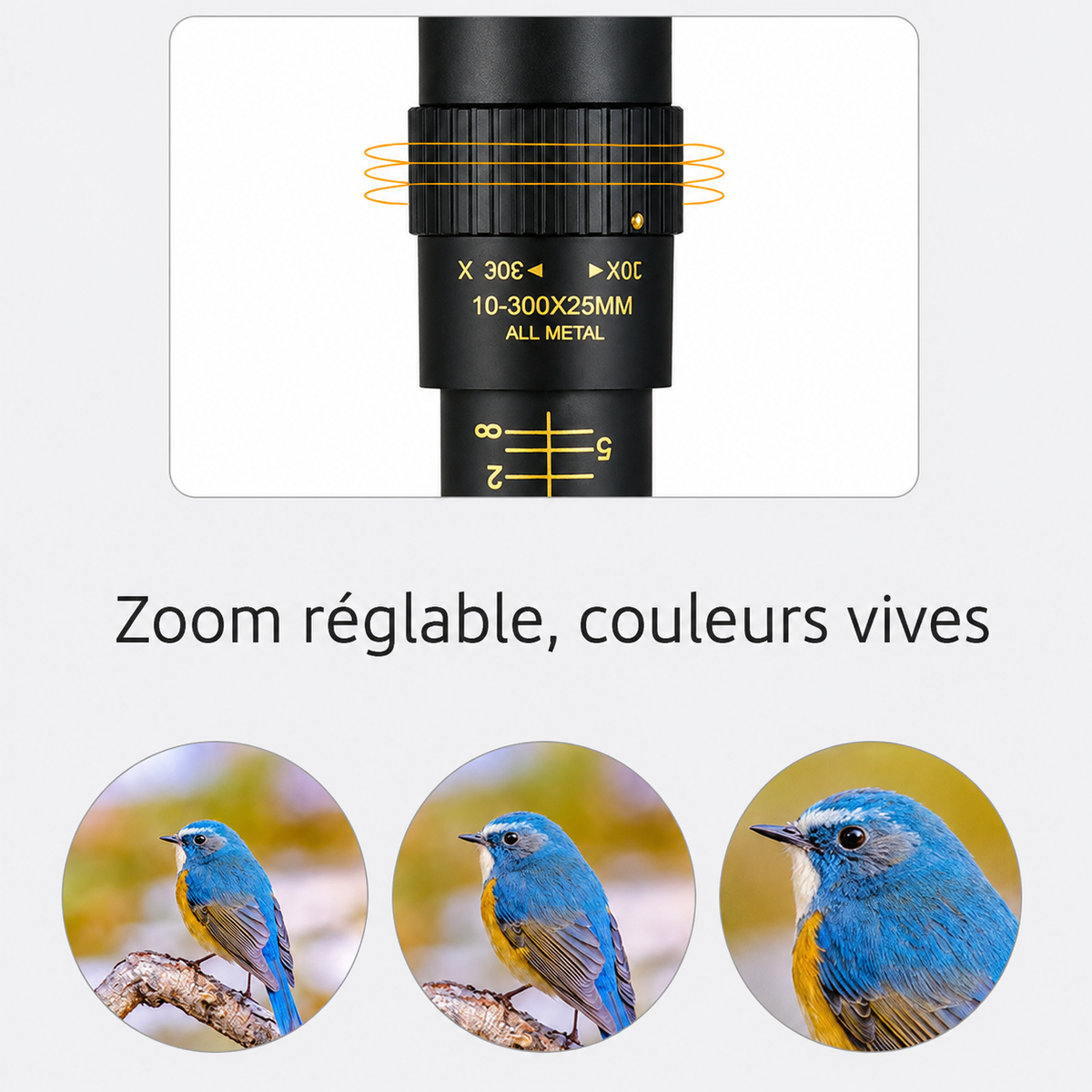 Monoculaire <br> PUISSANT 300X25