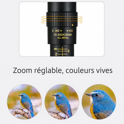 Monoculaire <br> PUISSANT 300X25