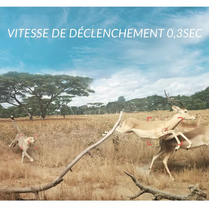 Caméra de chasse 4K <br> TR-92S