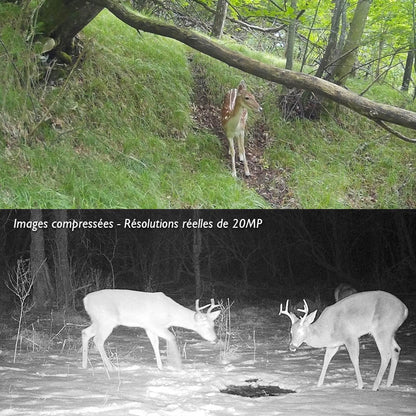 Caméra de chasse <br> TR-80A Infrarouge invisible