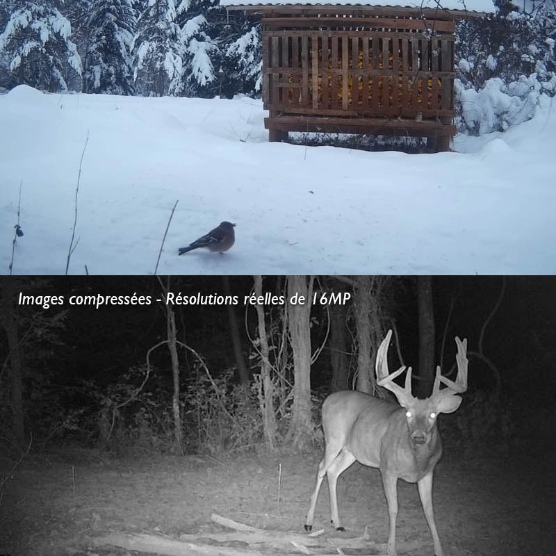Caméra de chasse <br> TR-92X Professionnelle