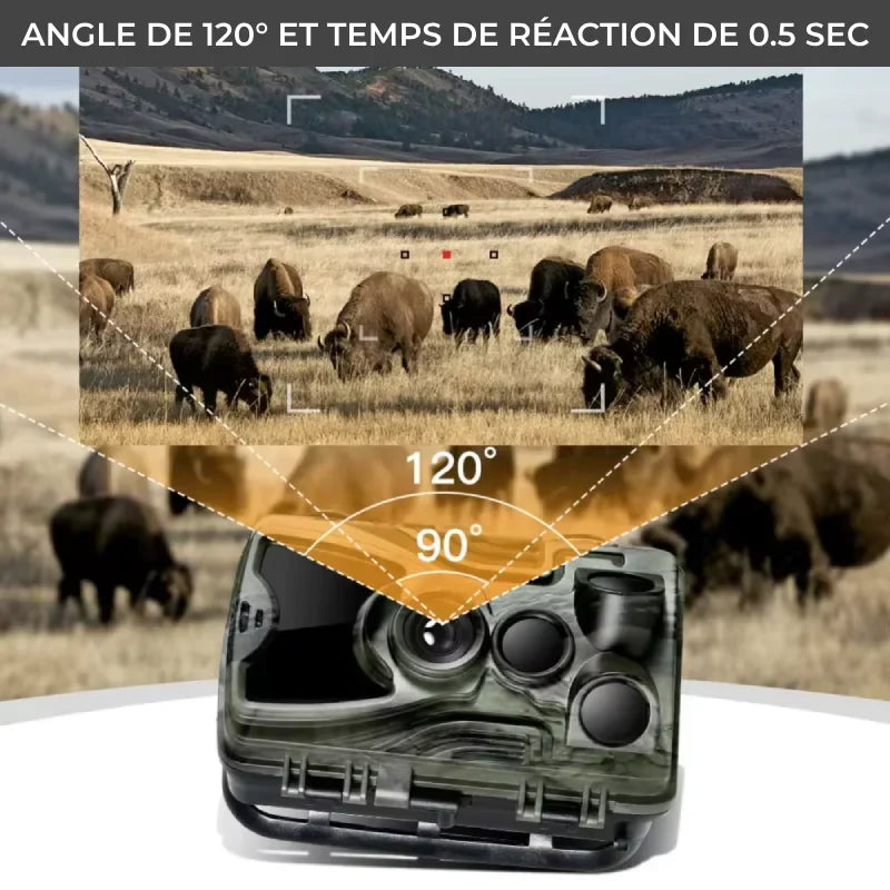Caméra de chasse <br> TR-81L Batterie Lithium