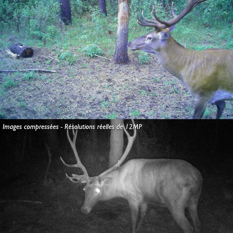 Camera de chasse solaire