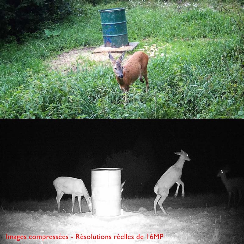 Caméra de chasse <br> TR-90S WiFi