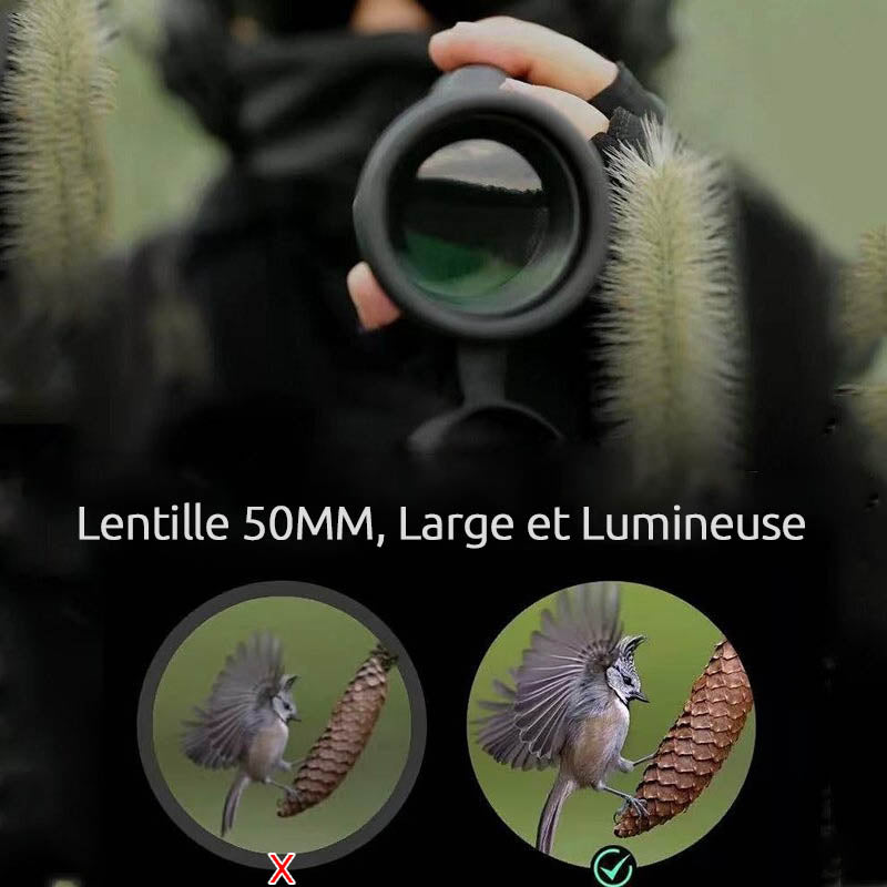 Jumelle monoculaire <br> PUISSANTE 10-30X50