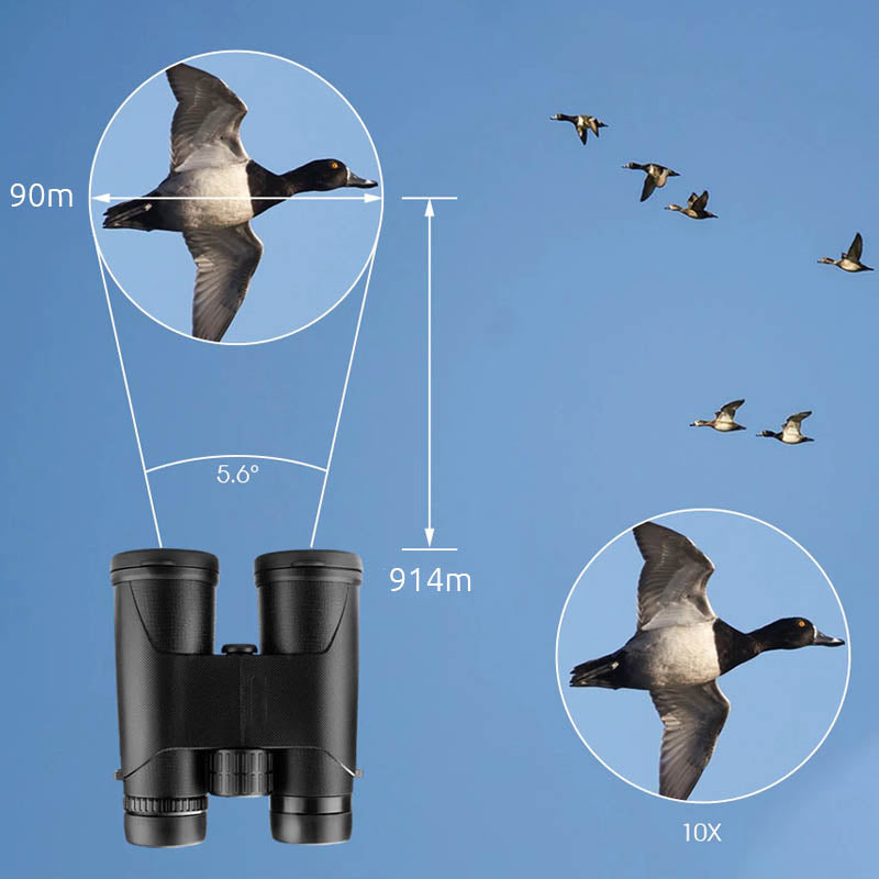 Jumelles 10x42 <br> Observation oiseaux