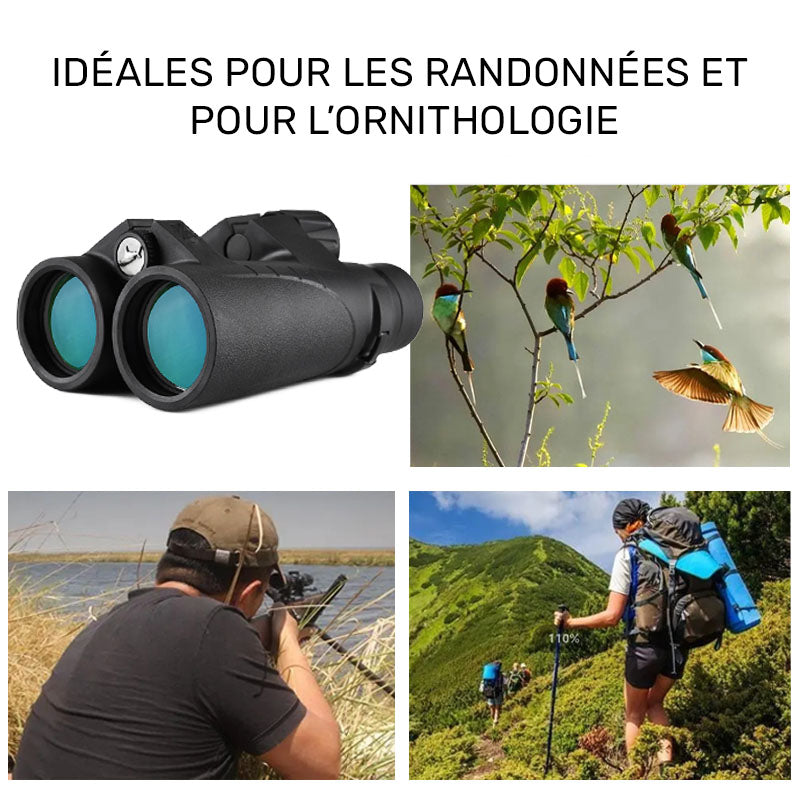 Jumelles ornithologie 8x42