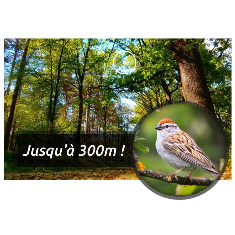 Longue vue pour observer les oiseaux 12-36X50