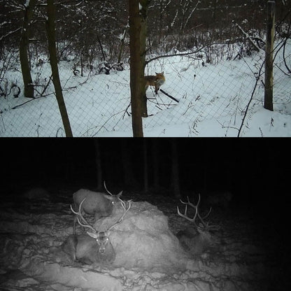 Mini camera de chasse